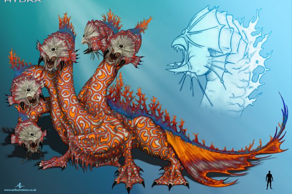 Лучшие практики ссылки тор браузер